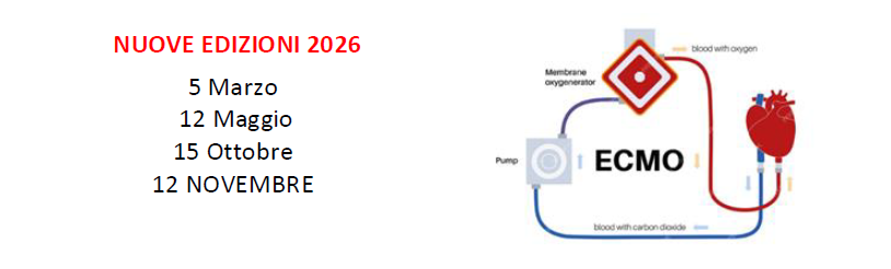 
		
			/image/journal/article?img_id=6283131&t=1770912040654
		
		
	