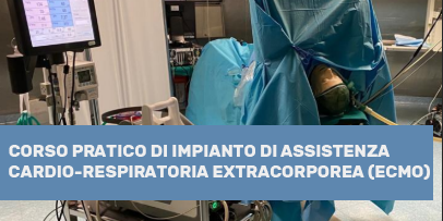 
		
			/image/journal/article?img_id=6283234&t=1770913237094
		
		
	